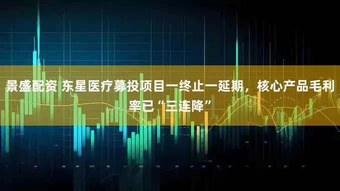 景盛配资 东星医疗募投项目一终止一延期，核心产品毛利率已“三连降”