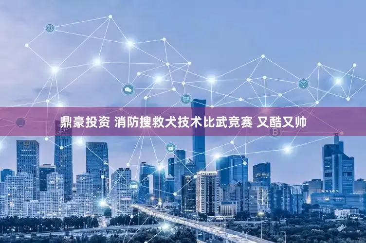 鼎豪投资 消防搜救犬技术比武竞赛 又酷又帅