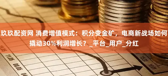 玖玖配资网 消费增值模式：积分变金矿，电商新战场如何撬动30%利润增长？_平台_用户_分红