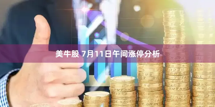 美牛股 7月11日午间涨停分析