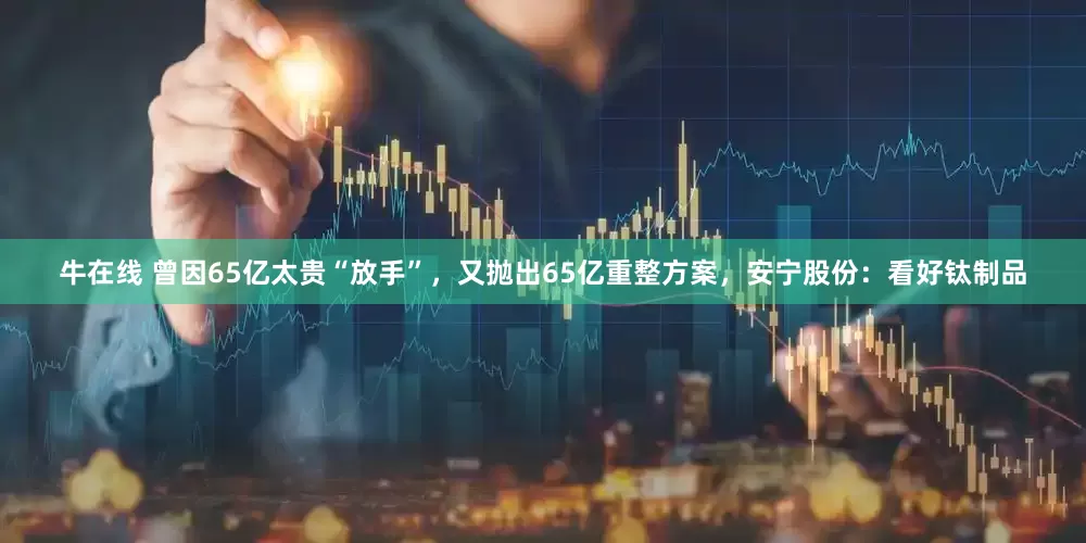 牛在线 曾因65亿太贵“放手”，又抛出65亿重整方案，安宁股份：看好钛制品