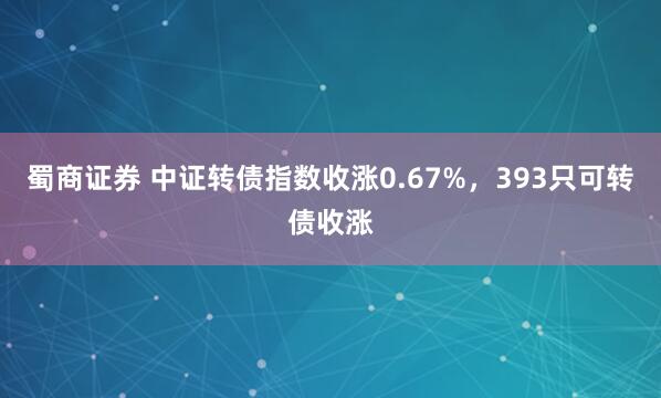 蜀商证券 中证转债指数收涨0.67%，393只可转债收涨