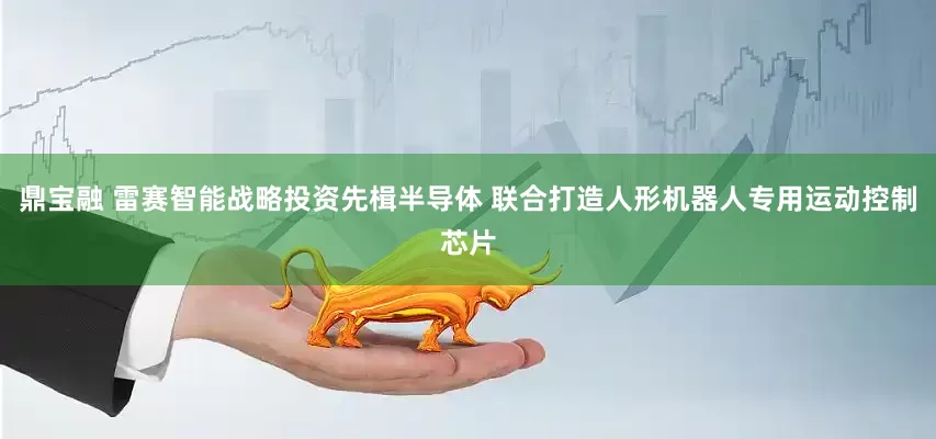 鼎宝融 雷赛智能战略投资先楫半导体 联合打造人形机器人专用运动控制芯片