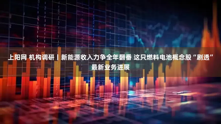 上阳网 机构调研丨新能源收入力争全年翻番 这只燃料电池概念股“剧透”最新业务进展