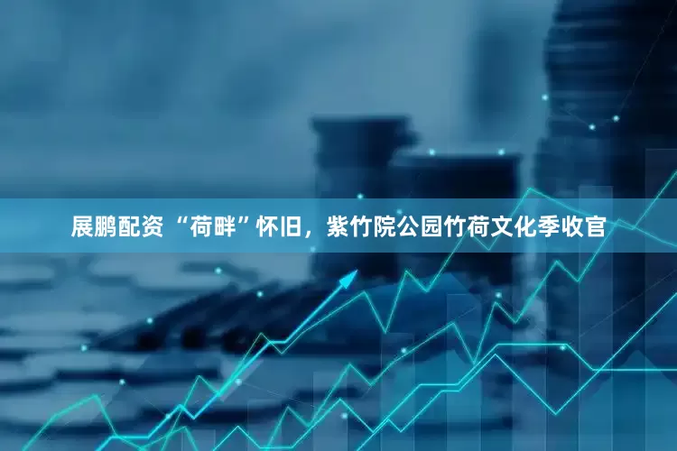 展鹏配资 “荷畔”怀旧，紫竹院公园竹荷文化季收官