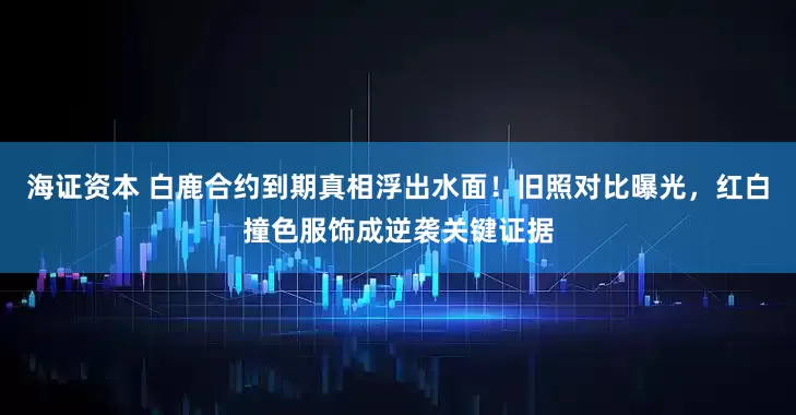 海证资本 白鹿合约到期真相浮出水面！旧照对比曝光，红白撞色服饰成逆袭关键证据